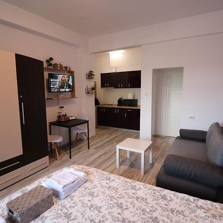 Apartmán Charming Cozy Studio - Old Town - Free Minibar Bukurešť Exteriér fotografie