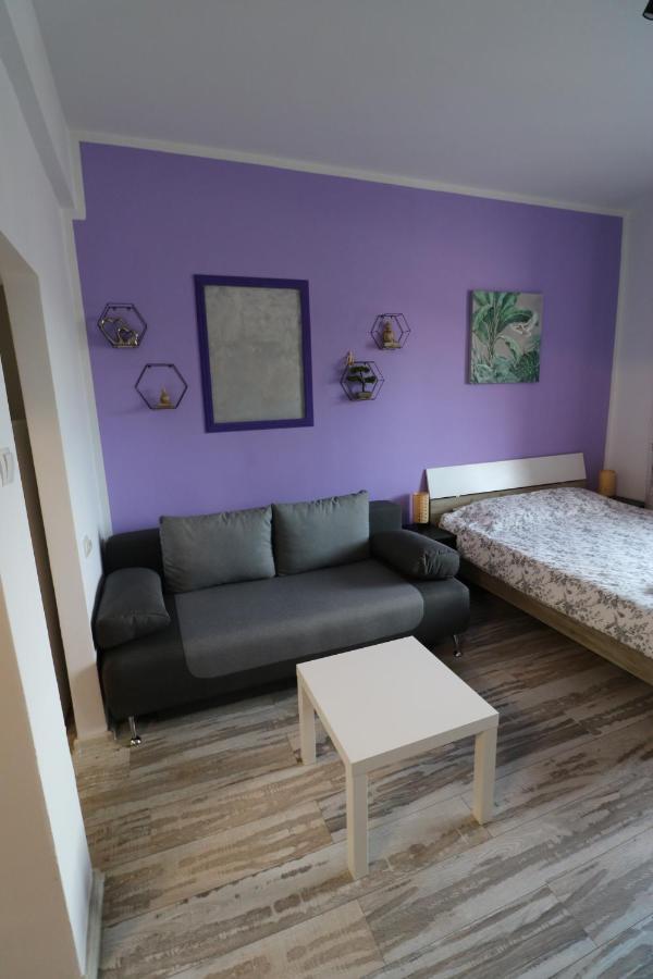 Apartmán Charming Cozy Studio - Old Town - Free Minibar Bukurešť Exteriér fotografie