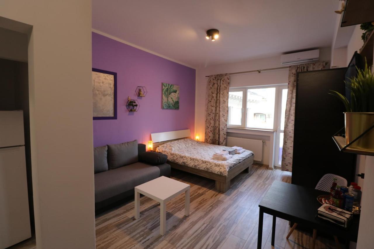 Apartmán Charming Cozy Studio - Old Town - Free Minibar Bukurešť Exteriér fotografie