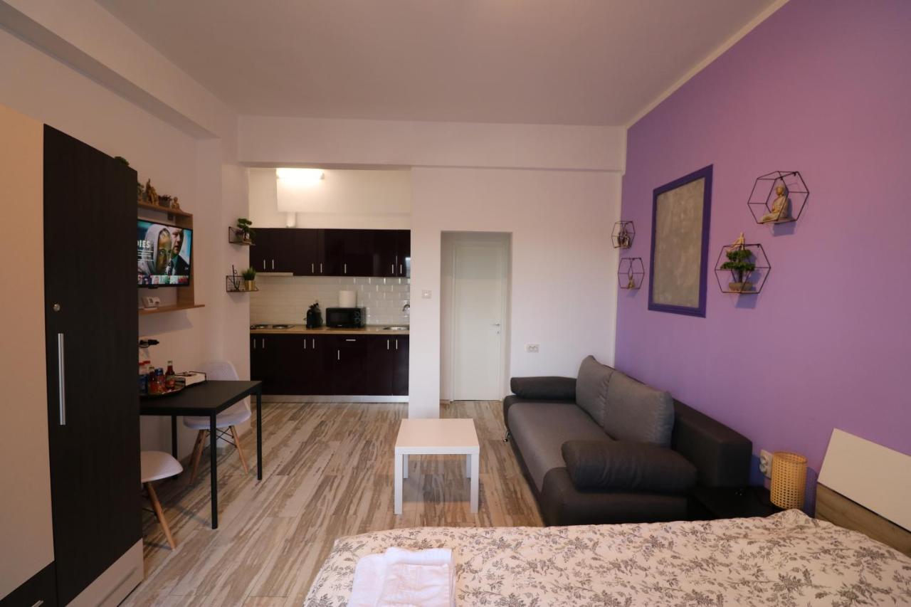 Apartmán Charming Cozy Studio - Old Town - Free Minibar Bukurešť Exteriér fotografie