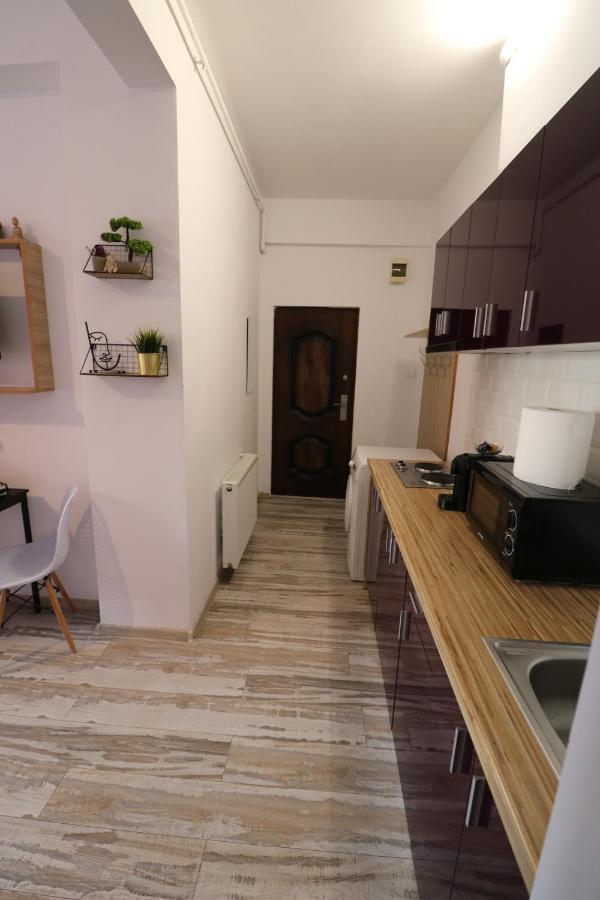 Apartmán Charming Cozy Studio - Old Town - Free Minibar Bukurešť Exteriér fotografie